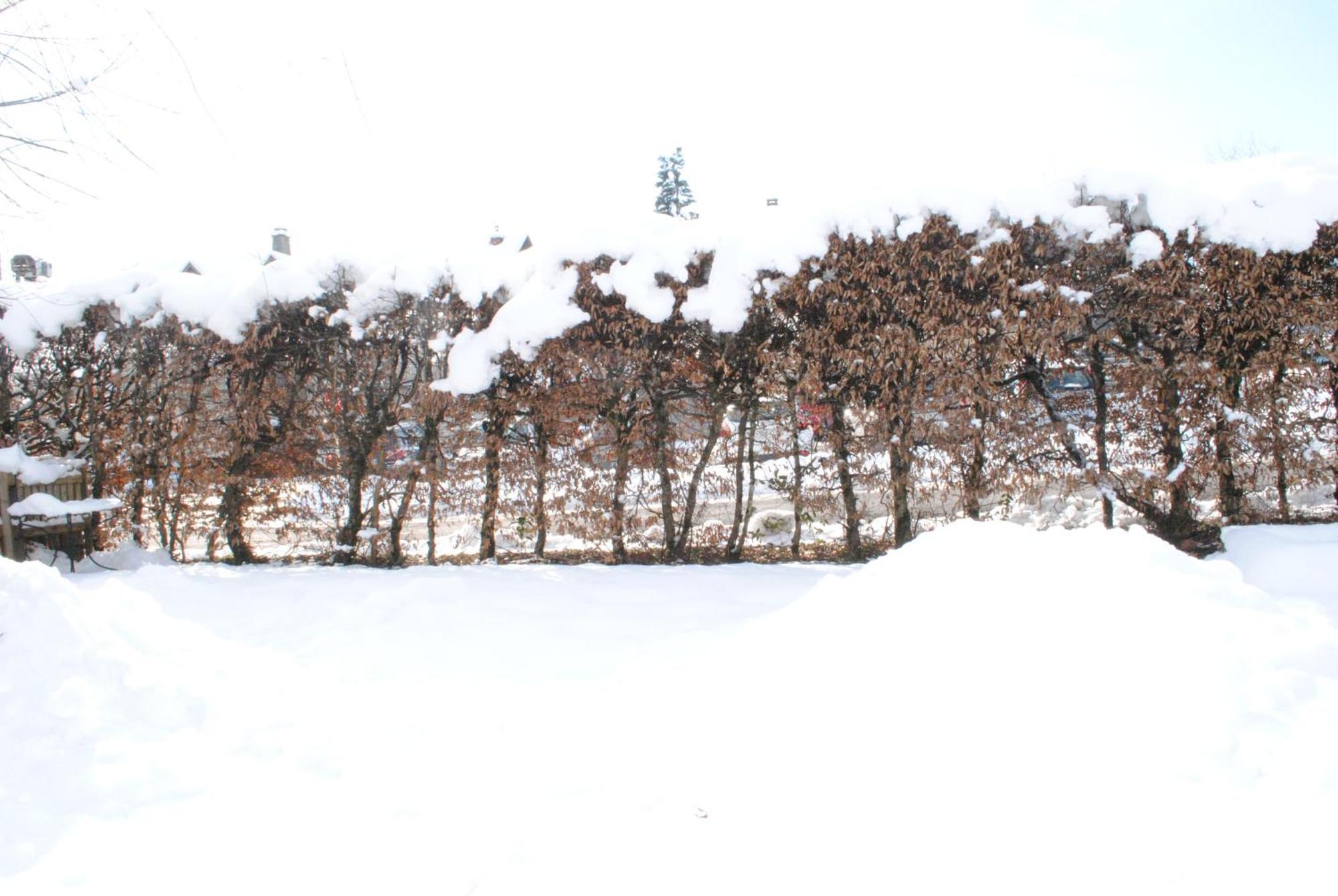 Le Cloiset Chatillon-sur-Cluses